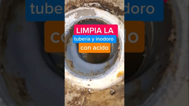 Limpieza preventiva de desagües del baño