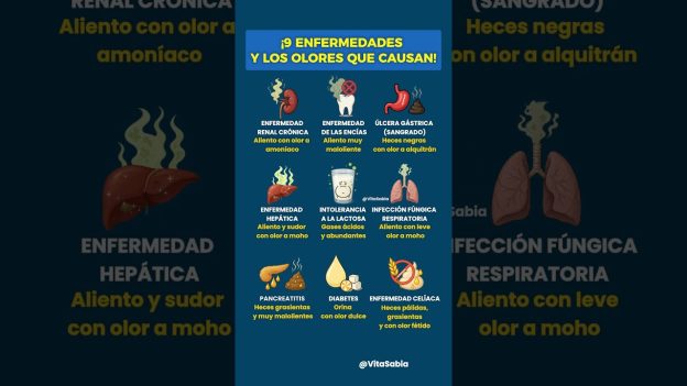 Diagnóstico de olores persistentes